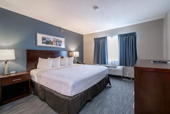 Room, 1 King Bed, Non Smoking