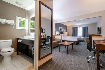Deluxe Room, 1 King Bed, Non Smoking