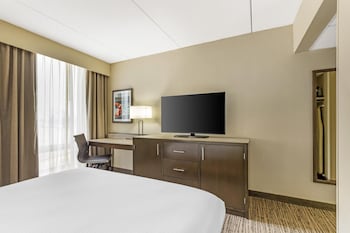 Standard Room, 1 Queen Bed, Non Smoking, Refrigerator & Microwave