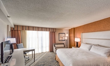 Room, 1 King Bed