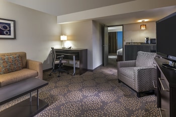 Suite, 1 Bedroom (1 King Bed)