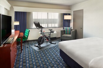 Room, 1 King Bed