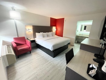 Room, 1 King Bed, Non Smoking (Exterior Entrance)