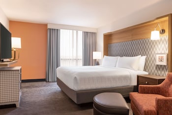 Suite, 1 King Bed