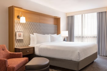 Room, 1 King Bed