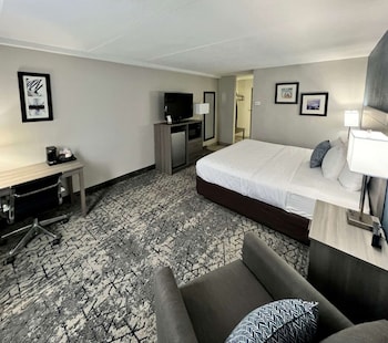 Room, 1 Double Bed, Accessible, Non Smoking