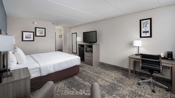 Standard Room, 1 King Bed, Non Smoking