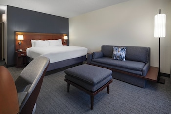 Standard Room, 1 King Bed (Mobility/Hearing Access, Roll-In Shwr)