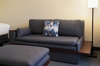 Standard Room, 1 King Bed (Mobility/Hearing Access, Roll-In Shwr)
