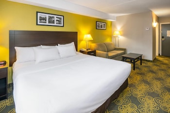 Standard Room, 1 King Bed , Non Smoking