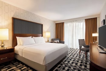 Room, 1 King Bed, Accessible (Roll-In Shower)