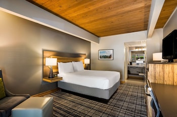 Standard Room, 1 Queen Bed, Accessible, Non Smoking (Shower Only)