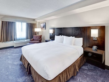 Room, 1 King Bed