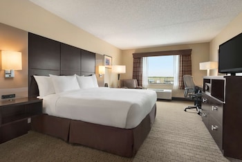 Room, 1 King Bed