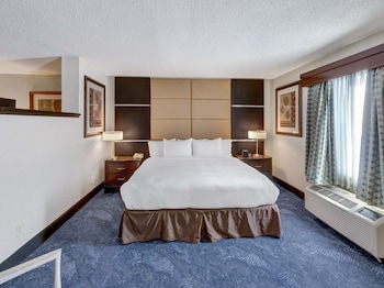 Room, 1 King Bed