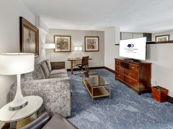 Studio Suite, 1 King Bed