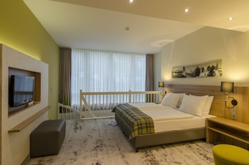 Standard Room, 1 King Bed with Sofa bed
