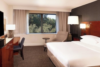 Room, 1 King Bed (Mobility Accessible, Roll-In Shower)