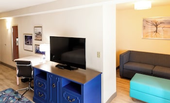 Premium Room, 1 King Bed with Sofa bed
