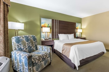 Room, 1 King Bed, Accessible, Non Smoking
