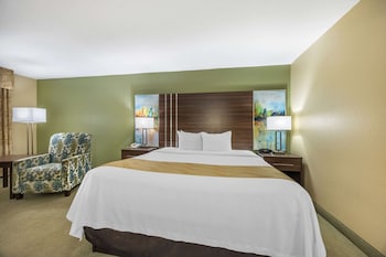 Standard Room, 1 King Bed, Non Smoking