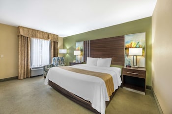 Room, 1 King Bed, Accessible, Non Smoking