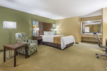 Standard Room, 1 King Bed, Non Smoking