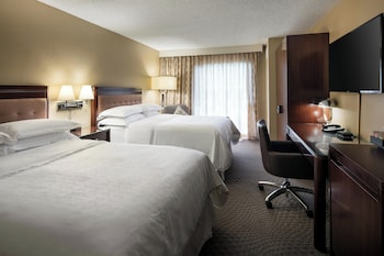 Traditional Room, 1 Double Bed