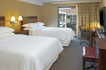 Deluxe Room, 1 Double Bed