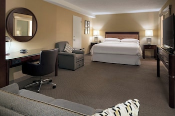 Studio, 1 King Bed, Kitchenette (1 Sofa bed)