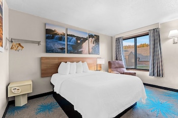 Standard Room, 1 Queen Bed, Non Smoking, Refrigerator