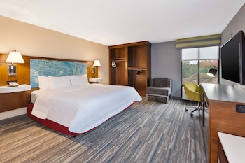 Room, 1 King Bed, Accessible, Non Smoking