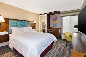Room, 1 King Bed, Accessible, Non Smoking