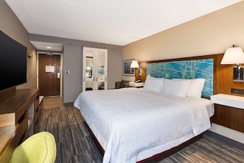 Room, 1 King Bed, Accessible