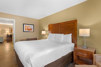 Suite, Non Smoking (1 King Bed)