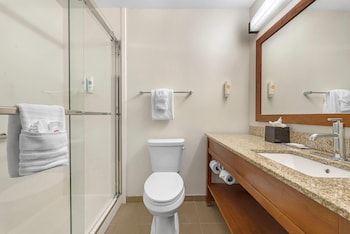 Suite, Non Smoking (1 King Bed)