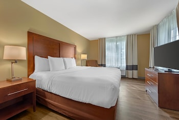 Suite, Non Smoking (1 King Bed)