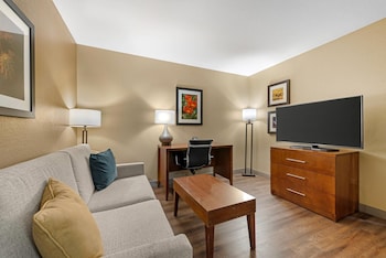 Suite, Non Smoking (1 King Bed)