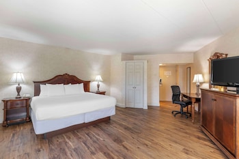 Business Room, 1 King Bed, Non Smoking (Oversized Room)