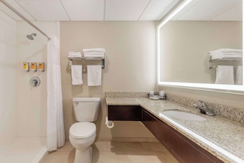 Business Room, 1 King Bed, Non Smoking (Oversized Room)
