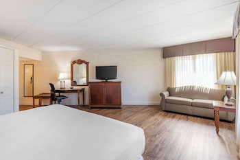 Business Room, 1 King Bed, Non Smoking (Oversized Room)