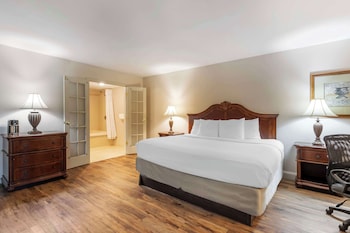 Business Suite, 1 King Bed, Non Smoking, Jetted Tub (with Sofabed)