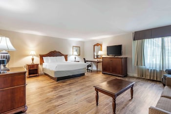 Business Suite, 1 King Bed, Non Smoking, Jetted Tub (with Sofabed)