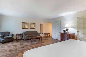 Business Suite, 1 King Bed, Non Smoking, Jetted Tub (with Sofabed)