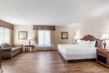 Business Room, 1 King Bed, Non Smoking (Oversized Room)