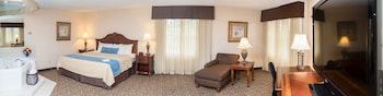 Business Suite, 1 King Bed, Non Smoking, Jetted Tub (with Sofabed)