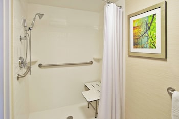 Room, 1 King Bed