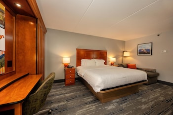 Room, 1 King Bed, Non Smoking