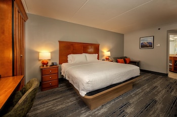 Room, 1 King Bed with Sofa bed, Non Smoking (Study)