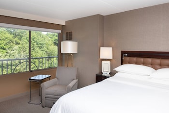Room, 1 King Bed (Mobility/Hearing Access, Roll-In Shwr)